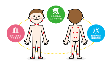 108のツボ診断コースアイコン