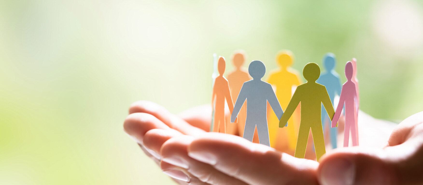 採用選考基準・フロー イメージ